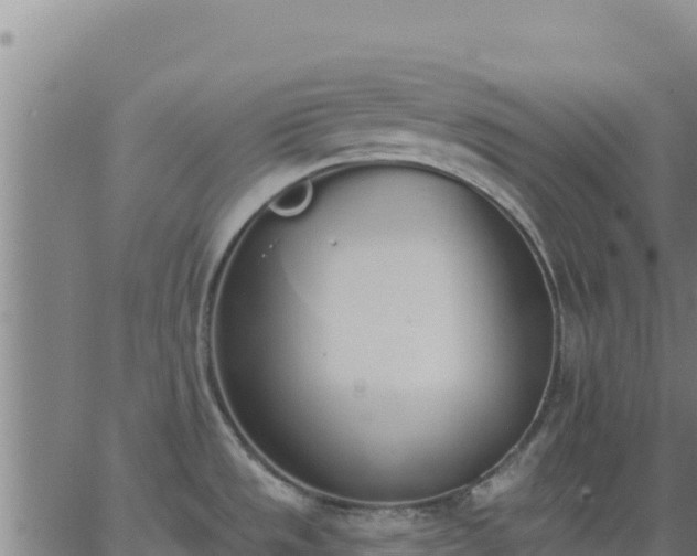 X0000062841533200601201625