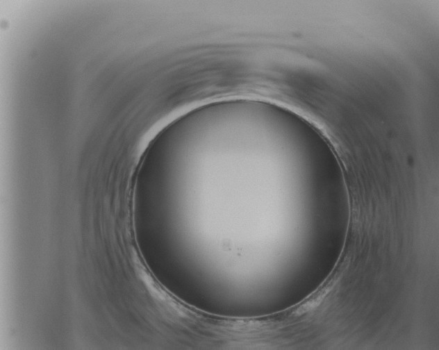 X0000062841534200601201625