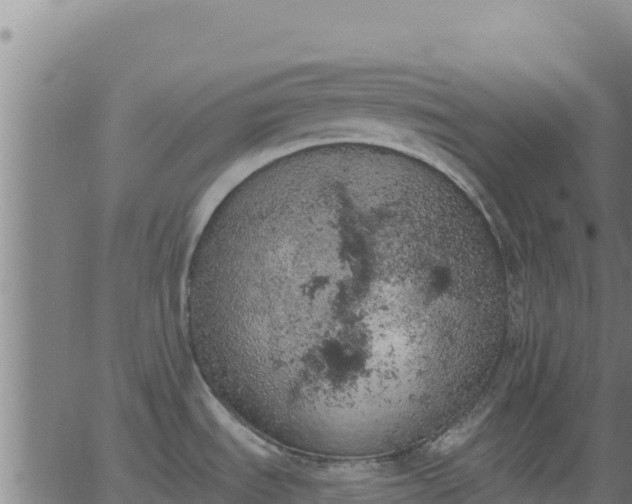 X0000062841535200601201625