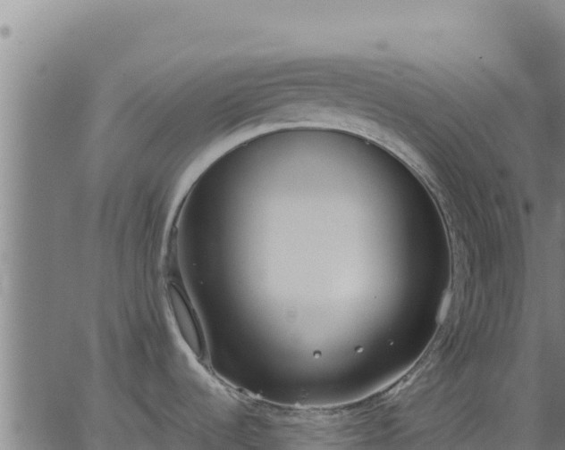 X0000062841536200601201625