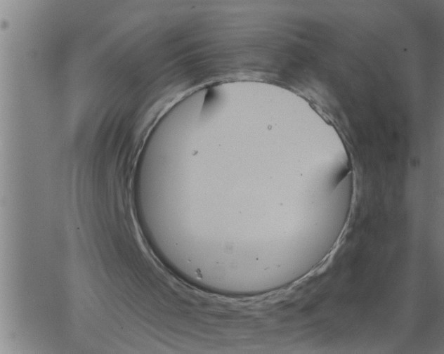 X0000062840001200601272028