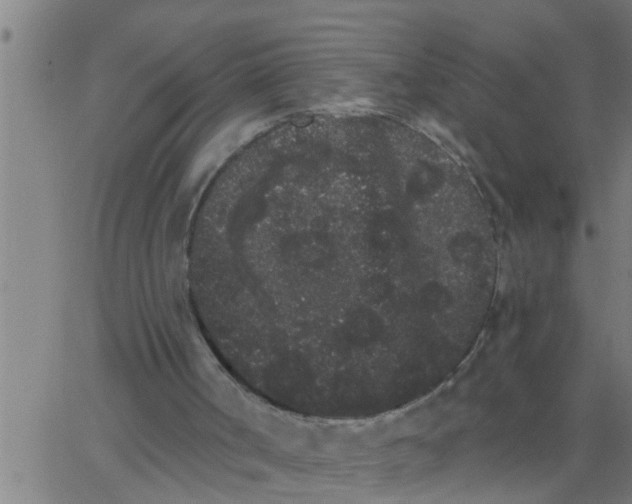 X0000062840002200601272028