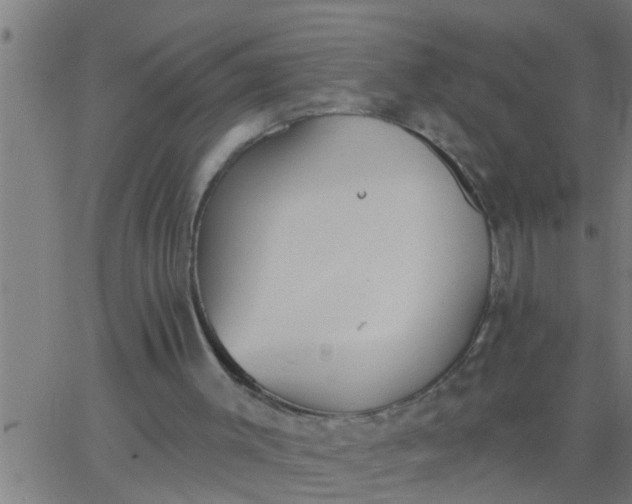 X0000062840003200601272028