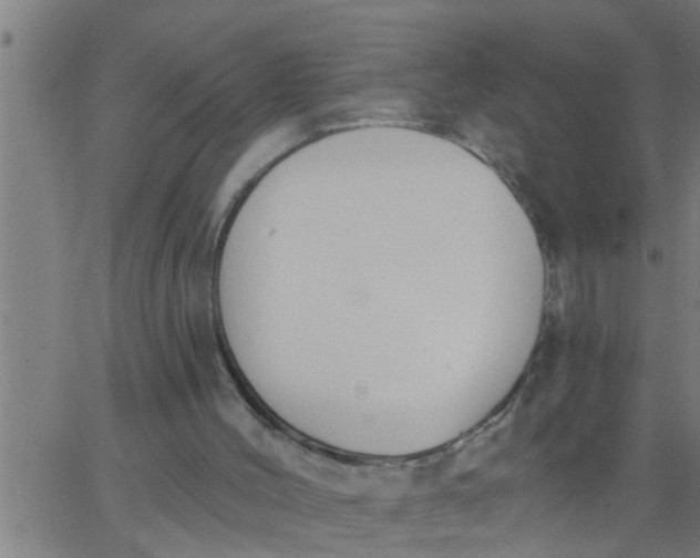 X0000062840004200601272028