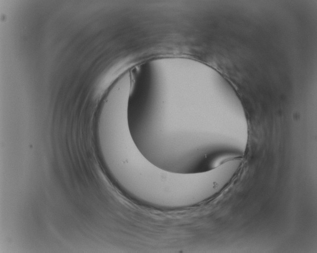 X0000062840005200601272028