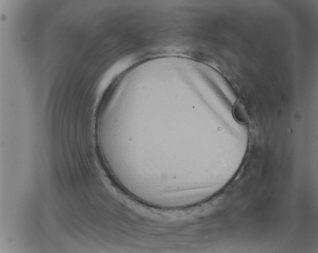 X0000062840006200601272028