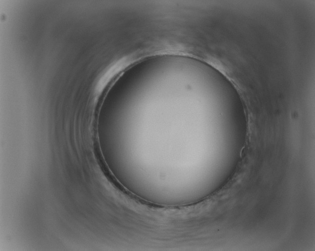 X0000062840007200601272028