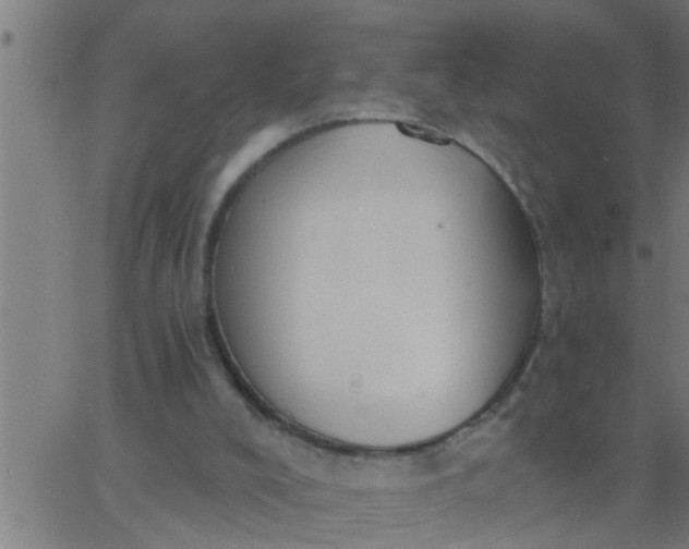 X0000062840008200601272028