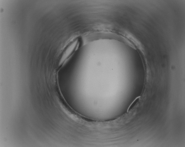 X0000062840009200601272028