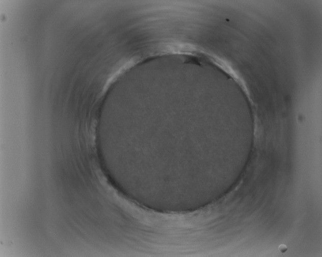 X0000062840010200601272028