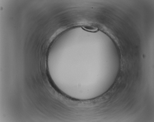 X0000062840011200601272028