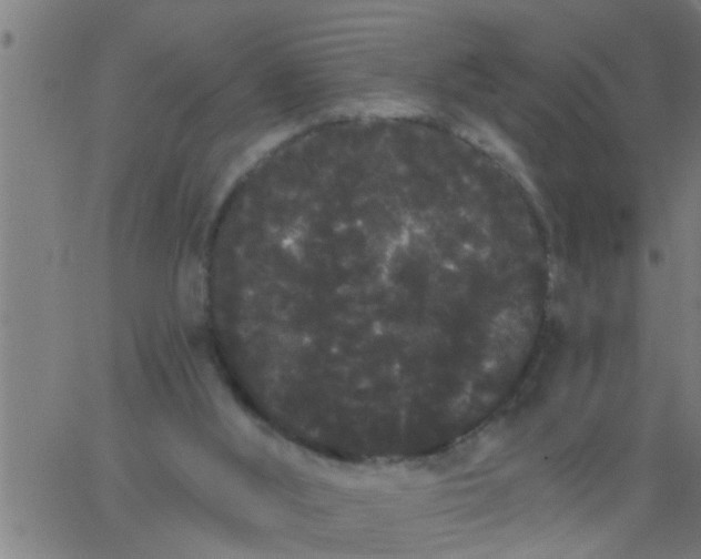 X0000062840012200601272028