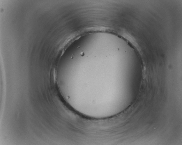 X0000062840013200601272028