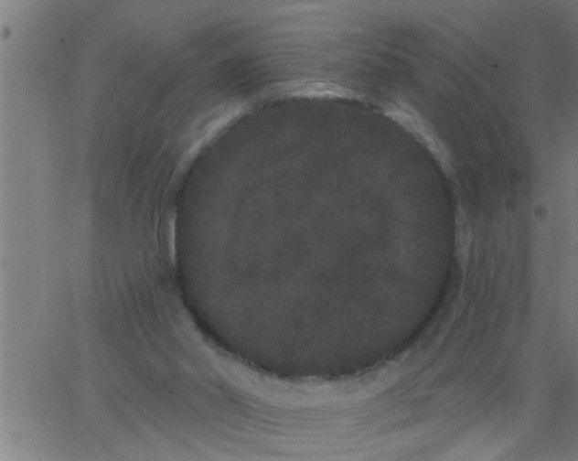 X0000062840014200601272028