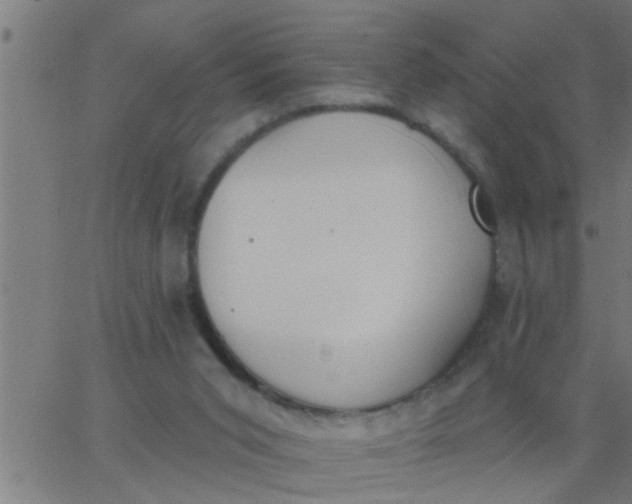 X0000062840015200601272028