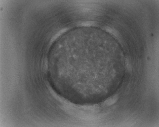 X0000062840016200601272028