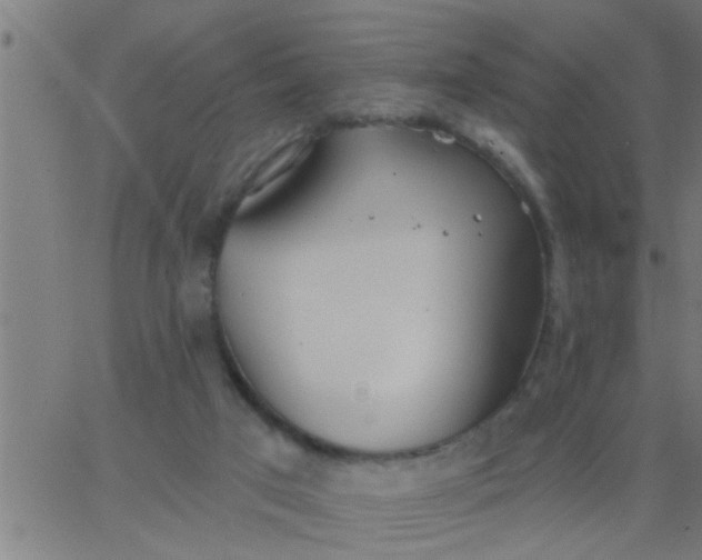 X0000062840017200601272028