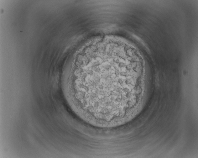 X0000062840018200601272028