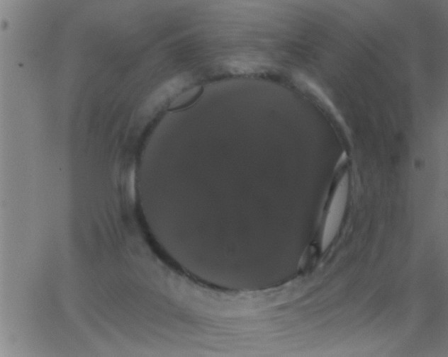 X0000062840019200601272027