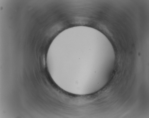 X0000062840020200601272027