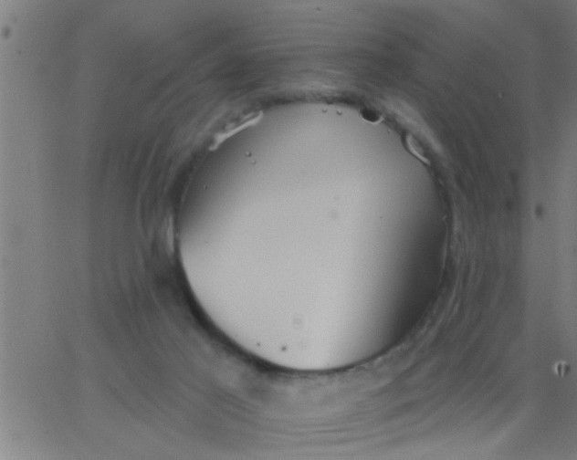 X0000062840021200601272027