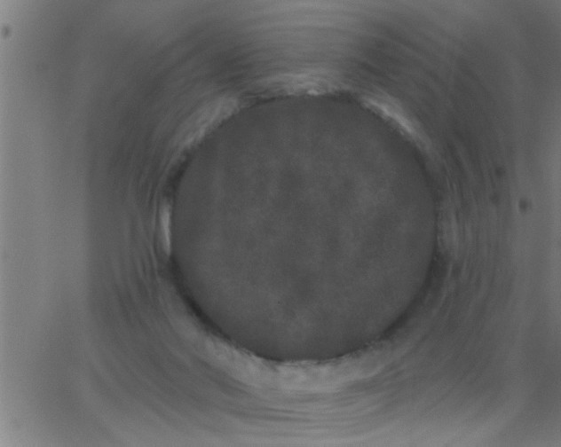 X0000062840022200601272027