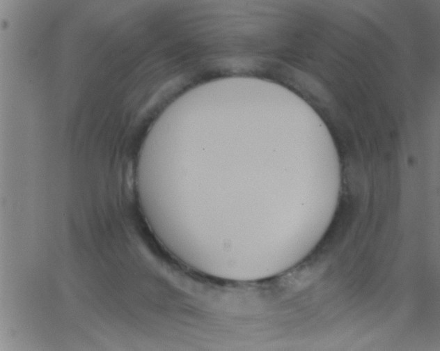 X0000062840024200601272027