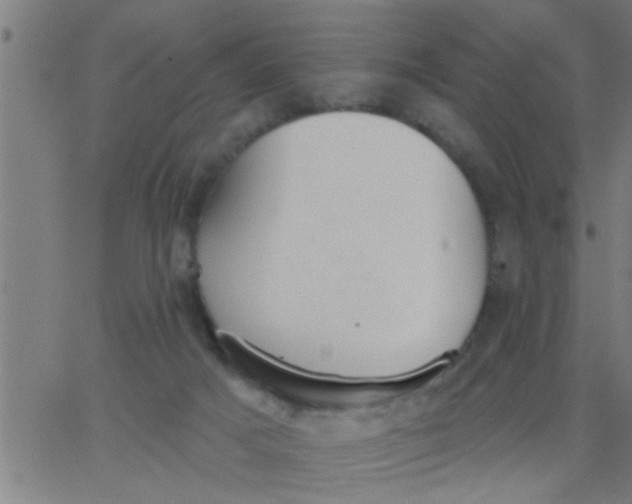 X0000062840025200601272027