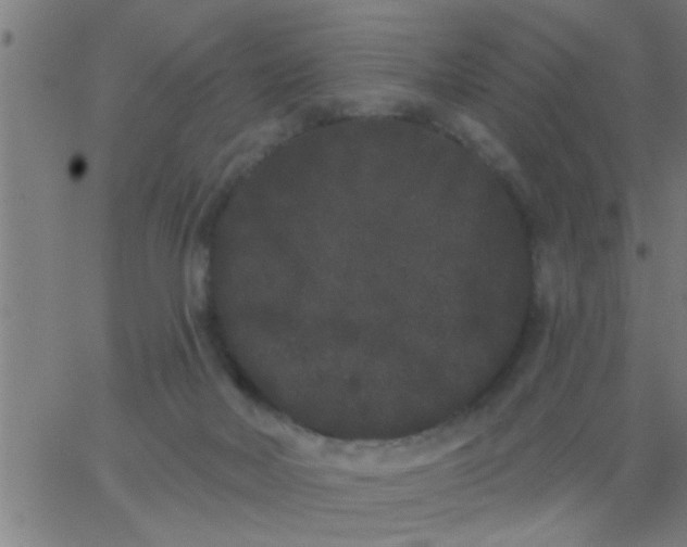 X0000062840026200601272027