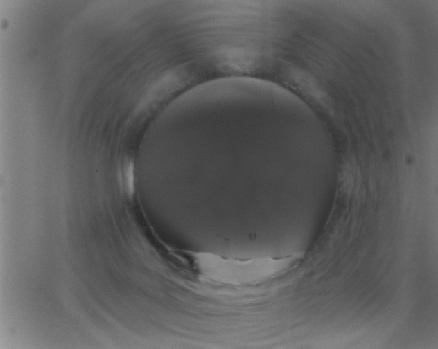 X0000062840027200601272027