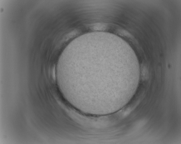 X0000062840028200601272027