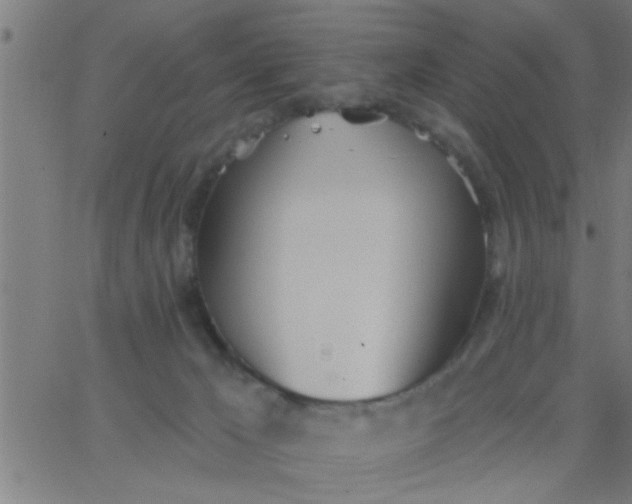 X0000062840029200601272027