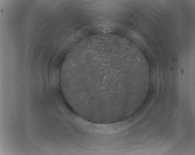 X0000062840030200601272027