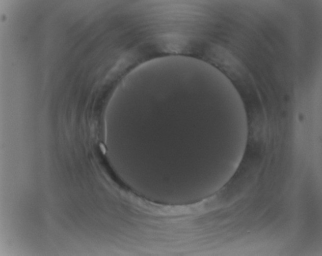 X0000062840031200601272027