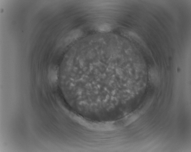 X0000062840032200601272027