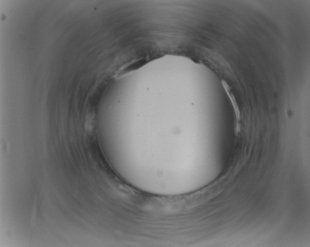 X0000062840033200601272027