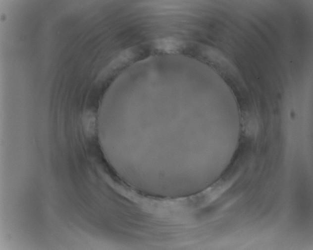 X0000062840036200601272027