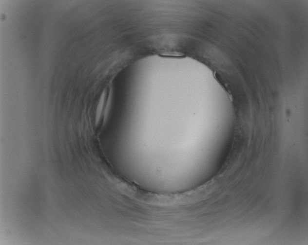 X0000062840037200601272027