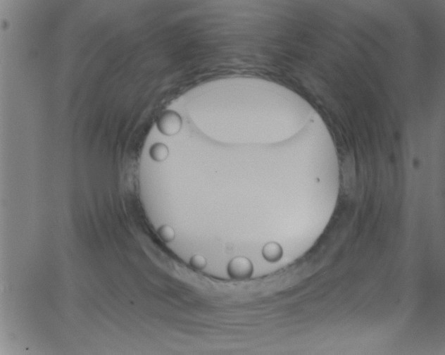 X0000062840038200601272027