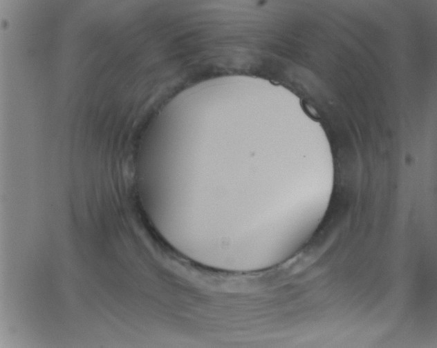 X0000062840040200601272027