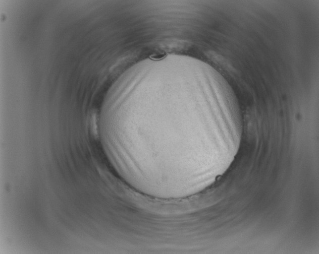 X0000062840042200601272027