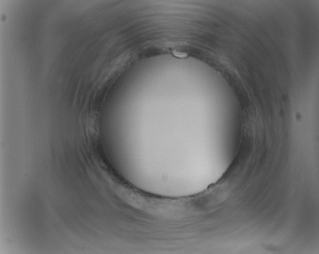 X0000062840044200601272027