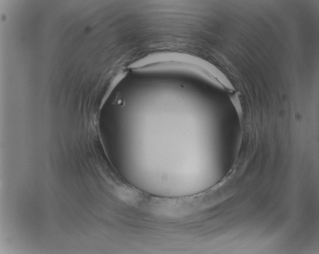 X0000062840045200601272027