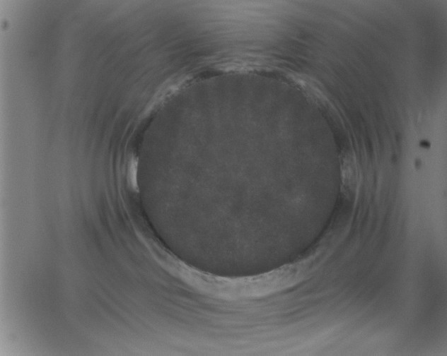 X0000062840046200601272027