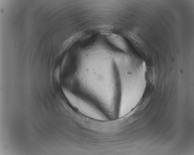 X0000062840047200601272027