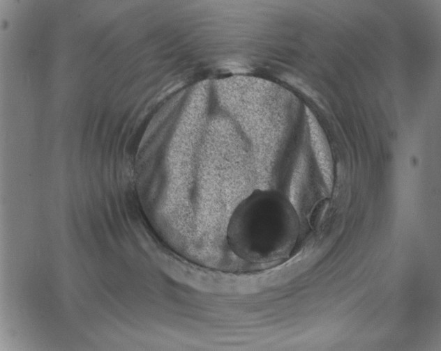 X0000062840048200601272027