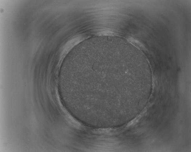 X0000062840049200601272026