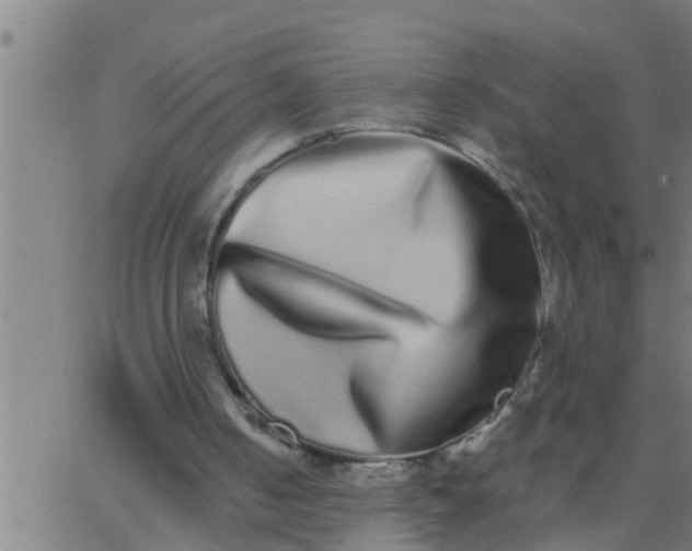 X0000062840050200601272026