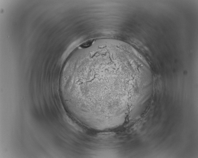 X0000062840051200601272026