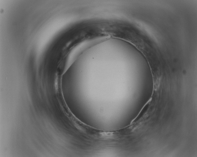 X0000062840052200601272026